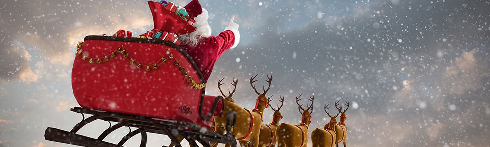 The Real Father Christmas Eden Private Staff