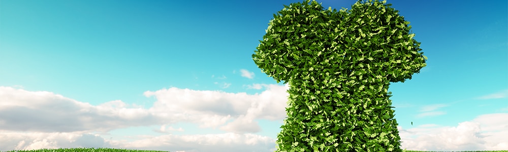 organic children's clothing brands