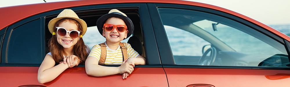 Family Drivers/Chauffeurs