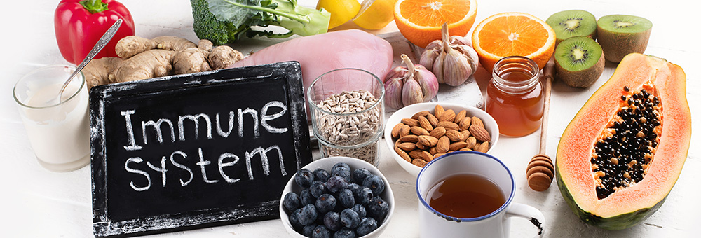 Foods to Support Your Immune System