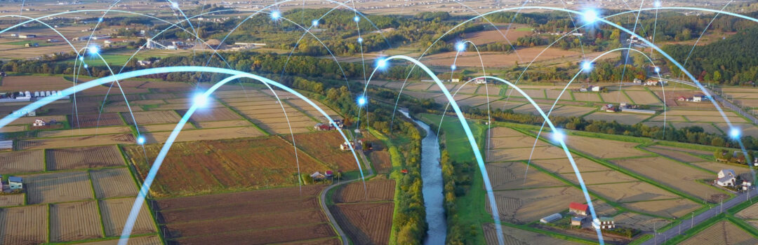 Estate Managers / Estate Directors