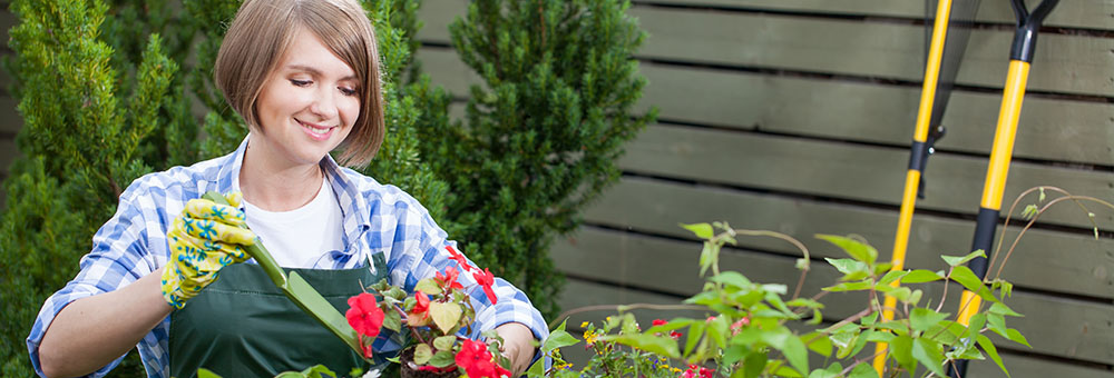 Horticulture Recruitment: What Qualifications and Experience to Look For